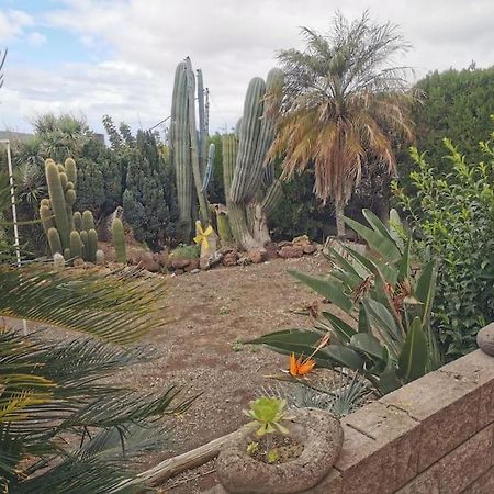 Los Cactus Σάντα Κρουζ Τενερίφης Εξωτερικό φωτογραφία