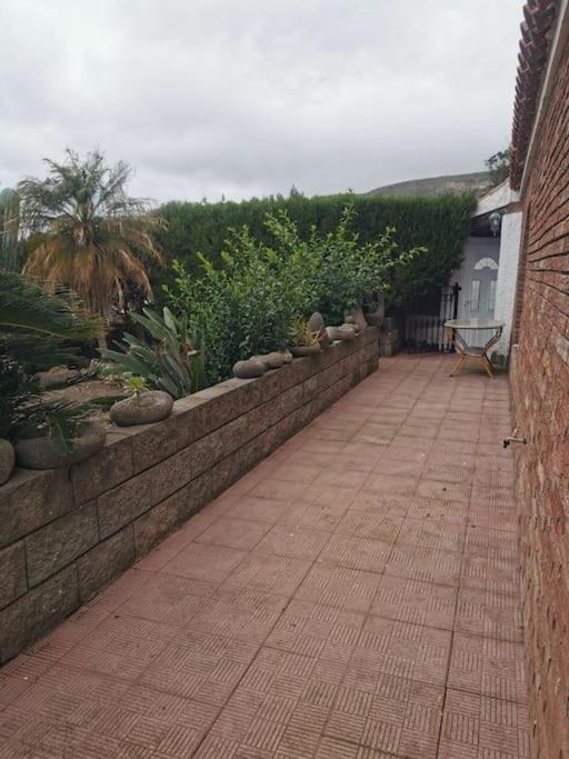 Los Cactus Σάντα Κρουζ Τενερίφης Εξωτερικό φωτογραφία
