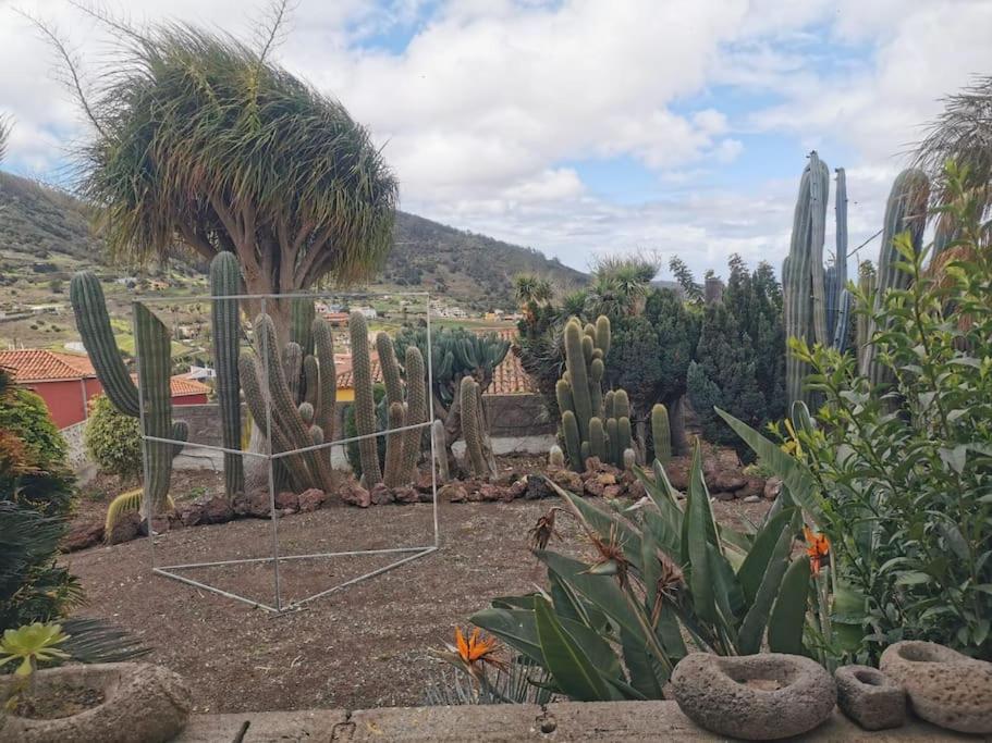 Los Cactus Σάντα Κρουζ Τενερίφης Εξωτερικό φωτογραφία